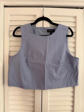 Banana Republic Structured Sleeveless Crop Top — Pale Blue
